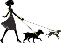 WAW Easy Dog Walk 'schokdemper' Zwart - XL - 25-40 Kg -Hondenartikelen Serie Winkel 1200x852 9