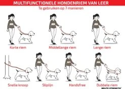Multifunctionele Hondenriem - 220cm - Bruin - Leren Hondenriem - 100% Volnerfleer - Hondenriem Leer - Leiband Hond -Hondenartikelen Serie Winkel 1200x853 3