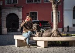 Julius K9 Julius-K9 IDC®Powertuig, 2XS -Baby2, Camouflage -Hondenartikelen Serie Winkel 1200x856 6