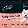Cesar Selectie In Saus Maaltijdzakjes Honden Natvoer - Vlees En Groenten In Saus - 48 X 100 Gr -Hondenartikelen Serie Winkel 1200x861