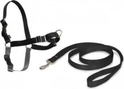 PetSafe Easy Walk® Deluxe Harness - Hondentuig - Blauw - L -1,8 M -Hondenartikelen Serie Winkel 1200x863 7