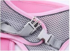 Hondentuigje Voor Kleine Puppy's & Kleine Honden - Blauw - Maat M -Hondenartikelen Serie Winkel 1200x864 10