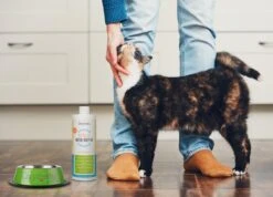 OxyFresh Pet Mondwater Hond En Kat. Helpt Tegen Tandsteen, Plak En Vieze Ademgeurtjes -Hondenartikelen Serie Winkel 1200x864 5
