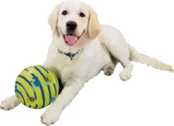 Wobble Wag Giggle Bal+ Honden Touw (30cm)- Honden Bal - Honden Speeltjes - Honden Speelgoed Intelligentie -Hondenartikelen Serie Winkel 1200x870 7