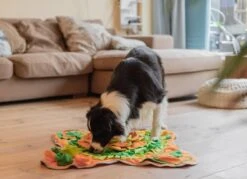 SNUFFIES® Snuffelmat Belle 60x50cm – Snuffelmat – Snuffelmatten - Honden Speelgoed - Honden Speelgoed Intelligentie - Snuffelmat Hond - Snuffelmatten – Hersenwerk – Honden Speeltjes – Puppy - Puppy Speelgoed - Honden Denkspelletjes -Hondenartikelen Serie Winkel 1200x872 5