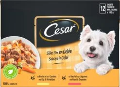 Cesar Selectie In Gelei Maaltijdzakjes Honden Natvoer - Vlees En Groenten In Gelei - 48 X 100g 9 Cesar Selectie In Gelei Maaltijdzakjes Honden Natvoer - Vlees En Groenten In Gelei - 48 X 100g -Hondenartikelen Serie Winkel 1200x874