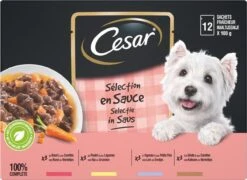 Cesar Selectie In Saus Maaltijdzakjes Honden Natvoer - Vlees En Groenten In Saus - 48 X 100 Gr -Hondenartikelen Serie Winkel 1200x875