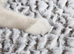 Merkloos Zelfverwarmende Dierendeken Zonder Stroom Thermo Deken Hond Kat Inclusief Adreslabel 70 X 47 Cm -Hondenartikelen Serie Winkel 1200x878