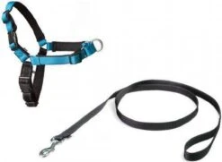 Petsafe Easy Walk® Deluxe Harness - Hondentuigje - Blauw - M - 1,8 M -Hondenartikelen Serie Winkel 1200x880 6