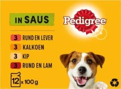Pedigree Adult Honden Natvoer - Vlees & Gevogelte In Saus - 48 X 100g -Hondenartikelen Serie Winkel 1200x884