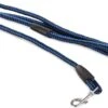 Merkloos Slipriem - Nylon - Riem Voor Hond - Blauw -Hondenartikelen Serie Winkel 1200x884 3