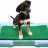 Hondentoilet Kunstgras - 3 Laags - 46 X 33 X 6cm - Puppy Pads - Zindelijkheidstraining Hond - Training Pads Puppy - Hondenmat -Hondenartikelen Serie Winkel 1200x886 1