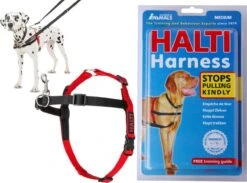Company Of Animals Halti Harnass Hondentuigje - Anti Trektuigje - M - 60 Tot 80 Cm – Zwart 20 Company Of Animals Halti Harnass Hondentuigje - Anti Trektuigje - M - 60 Tot 80 Cm – Zwart -Hondenartikelen Serie Winkel 1200x889 2