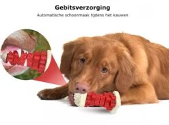 3-in-1 Hondenkauwbot - Gebitsverzorging - IQ Training - Voedsel Afgifte Functie - Geometrisch Ontwerp - Duurzaam & Milieuvriendelijk - Kauwbot - Honden - Hondenbot - Rood 10 3-in-1 Hondenkauwbot - Gebitsverzorging - IQ Training - Voedsel Afgifte Functie - Geometrisch Ontwerp - Duurzaam & Milieuvriendelijk - Kauwbot - Honden - Hondenbot - Rood -Hondenartikelen Serie Winkel 1200x890 8