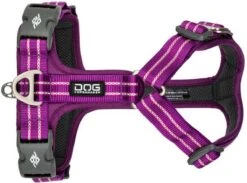 Dog Copenhagen - Comfort Walk Air Met Urban Rope Leash Riem 160 Cm - Paars - XL - 82-106 Cm -Hondenartikelen Serie Winkel 1200x891 5