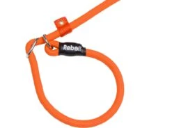 Rebel Petz - Honden Trainingslijn Met Halsband - Taupe, Zwart, Groen & Oranje - Maat Small Of Large - Kleur: Oranje, Maat: Large -Hondenartikelen Serie Winkel 1200x893 4