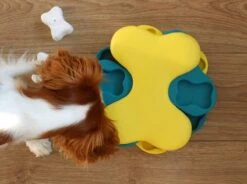 Nina Ottosson Dog Tornado Blu -Hondenartikelen Serie Winkel 1200x895 5