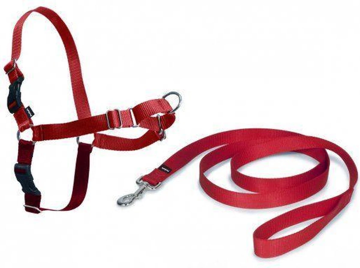 PetSafe Easy Walk® - Hondentuigje - Zwart - M - 51-71 Cm 5 PetSafe Easy Walk® - Hondentuigje - Zwart - M - 51-71 Cm - Afbeelding 3