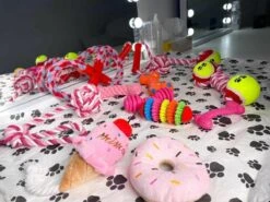 Honden Speelgoed - Puppy Speelgoed - 11 Stuks - Roze - 1 Speeltje Gratis - Honden Knuffel - Trektouw - Honden Speeltjes -Hondenartikelen Serie Winkel 1200x898 9