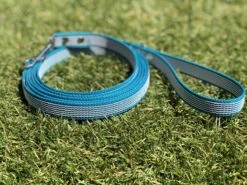 Merkloos Hondenriem - Antislip Lijn - 3 Meter - Turquoise - Training - Anti Slip - Volglijn - Looplijn - Speurlijn - Puppy