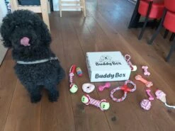 Honden Speelgoed - Puppy Speelgoed - 11 Stuks - Roze - 1 Speeltje Gratis - Honden Knuffel - Trektouw - Honden Speeltjes -Hondenartikelen Serie Winkel 1200x899 23