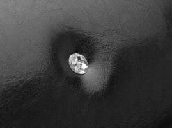 Roefie - Luxe Hondensofa CHIQUE - Zwart - Eco-leer 7 Roefie - Luxe Hondensofa CHIQUE - Zwart - Eco-leer -Hondenartikelen Serie Winkel 1200x899 5