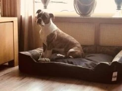 Hondenmand Cordura XXXL – Donkergrijs - 125 X 90 X 24 Cm 15 Hondenmand Cordura XXXL – Donkergrijs - 125 X 90 X 24 Cm -Hondenartikelen Serie Winkel 1200x900 29