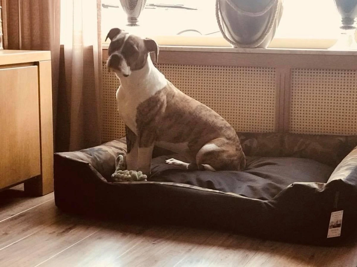 Hondenmand Cordura XXL – Zwart + Grijs - 100 X 75 X 23 Cm 8 Hondenmand Cordura XXL – Zwart + Grijs - 100 X 75 X 23 Cm - Afbeelding 6