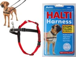 Company Of Animals Halti Harnass - Anti Trektuigje - Hond - Large - Borstomvang Boven De 80 Cm – Zwart 19 Company Of Animals Halti Harnass - Anti Trektuigje - Hond - Large - Borstomvang Boven De 80 Cm – Zwart -Hondenartikelen Serie Winkel 1200x901 3