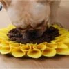Merkloos Snuffelmat Voor Hond En Kat - Zonnebloem - Trainingsmat - Anti Schrok - 38 Centimeter -Hondenartikelen Serie Winkel 1200x904 12