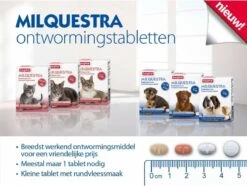 Beaphar Milquestra Ontworming Tabletten Hond 5-50kg 2 Tabletten 17 Beaphar Milquestra Ontworming Tabletten Hond 5-50kg 2 Tabletten -Hondenartikelen Serie Winkel 1200x904 7