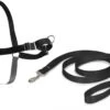 PetSafe Easy Walk® - Hondentuigje - Zwart - L - 66-91 Cm 2 PetSafe Easy Walk® - Hondentuigje - Zwart - L - 66-91 Cm -Hondenartikelen Serie Winkel 1200x904 9