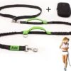 Filo Elastische Hondenriem Middel - Hardlopen En Wandelen - Hardloopriem Hond Handsfree Met Heuptasje - Looplijn Met Heupriem - Canicross Gordel Honden - Riemen - Heupgordel - Leiband -Hondenartikelen Serie Winkel 1200x908 5