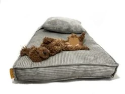 Orthopedisch Hondenkussen Grijs - Hondenmand Ribstof Premium L - Luxe Hondenbed 100x70cm - Grijs Tot 40 KG 18 Orthopedisch Hondenkussen Grijs - Hondenmand Ribstof Premium L - Luxe Hondenbed 100x70cm - Grijs Tot 40 KG -Hondenartikelen Serie Winkel 1200x910