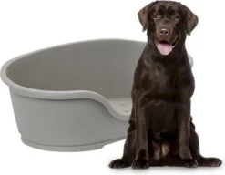 Flamingo - Hondenmand Domus - Grijs - 110 X 74 X 30 Cm -Hondenartikelen Serie Winkel 1200x931 1