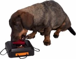 Trixie Dogtoy Dog Activity Strategy Game Gamble Box - Piepend Speelgoed - 15cm X 15cm X 9cm - Zwart/rood/oranje -Hondenartikelen Serie Winkel 1200x935 4