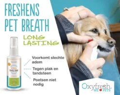OxyFresh Pet Mondspray Voor Hond En Kat Tegen Slechte Adem En Tandsteen 7 OxyFresh Pet Mondspray Voor Hond En Kat Tegen Slechte Adem En Tandsteen -Hondenartikelen Serie Winkel 1200x947 1