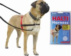 Company Of Animals Halti Harnass Anti Trektuigje - Hond - Small - Borstomvang 30 Tot 60 Cm - Rood 12 Company Of Animals Halti Harnass Anti Trektuigje - Hond - Small - Borstomvang 30 Tot 60 Cm - Rood -Hondenartikelen Serie Winkel 1200x950 3