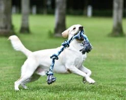 Viervoetjes - BigBoi - XXXL - Honden Touw - 100cm - 730 Gram - Honden Speelgoed - HondenSpeeltjes - Blauw/Wit/Zwart -Hondenartikelen Serie Winkel 1200x958 8