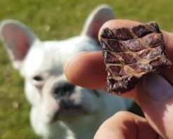 Topdiervoeding Runderlong Hondensnacks - Vers Gedroogd - Knapperig - 1 KG -Hondenartikelen Serie Winkel 1200x960