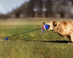 Nixnix - Honden Speelgoed Bal Met Touw - Blauw - Kauwbot - Hondenspeelgoed - Kauwspeelgoed - Onverwoestbaar - Apporteren - Geschikt Voor Alle Honden 8 Nixnix - Honden Speelgoed Bal Met Touw - Blauw - Kauwbot - Hondenspeelgoed - Kauwspeelgoed - Onverwoestbaar - Apporteren - Geschikt Voor Alle Honden -Hondenartikelen Serie Winkel 1200x960 6
