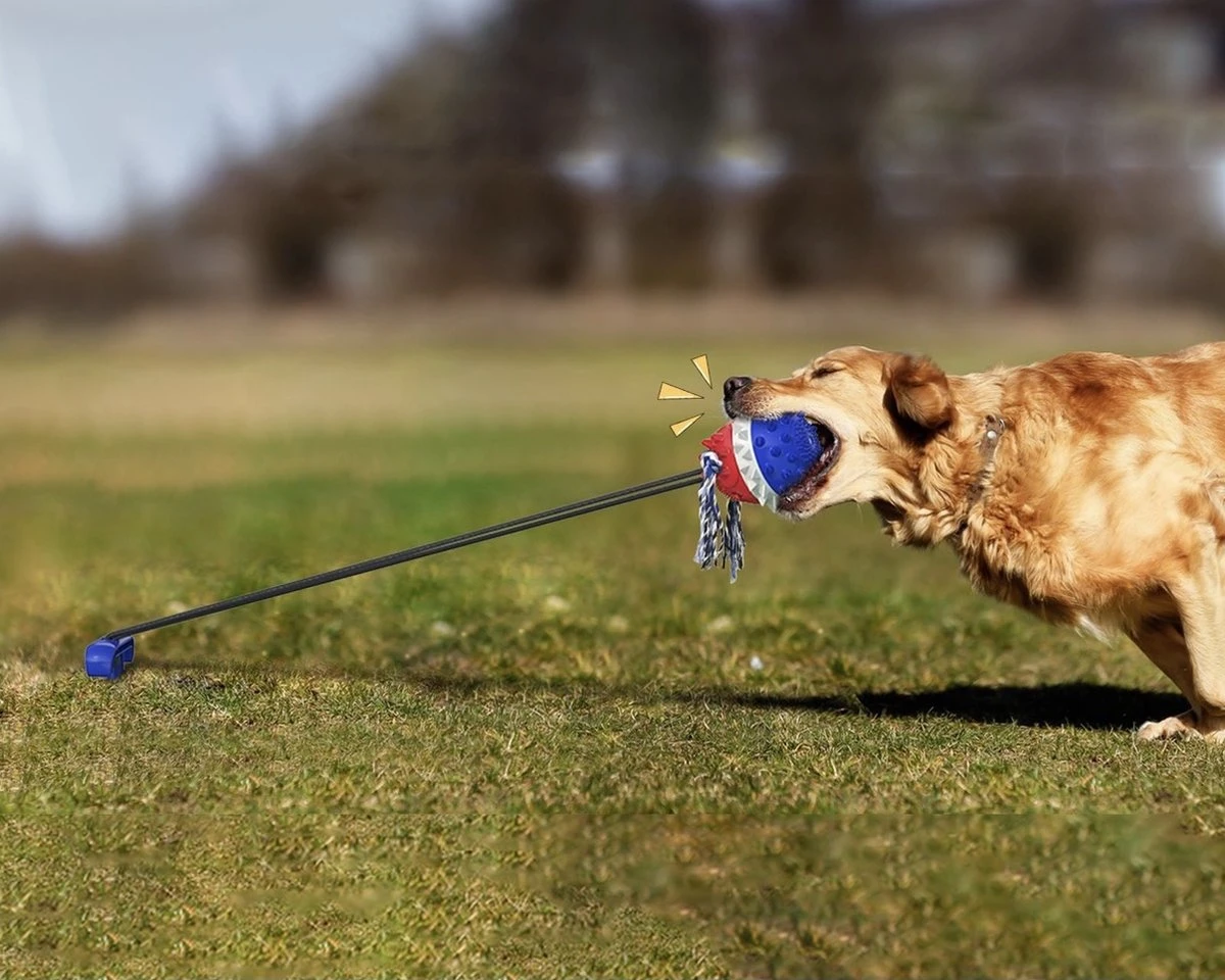 Nixnix - Honden Speelgoed Bal Met Touw - Blauw - Kauwbot - Hondenspeelgoed - Kauwspeelgoed - Onverwoestbaar - Apporteren - Geschikt Voor Alle Honden 4 Nixnix - Honden Speelgoed Bal Met Touw - Blauw - Kauwbot - Hondenspeelgoed - Kauwspeelgoed - Onverwoestbaar - Apporteren - Geschikt Voor Alle Honden - Afbeelding 2