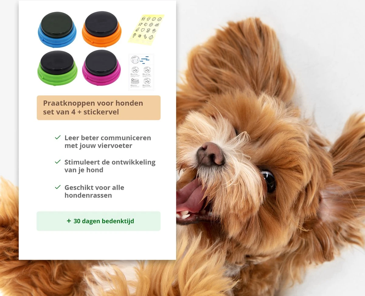 Praatknop Hond – Set Van 4 - Honden Speelgoed – Honden Training – Dogbuttons – Huisdier – Puppy Training - Hondenspeelgoed Intelligentie - Hond Opvoeden 9 Praatknop Hond – Set Van 4 - Honden Speelgoed – Honden Training – Dogbuttons – Huisdier – Puppy Training - Hondenspeelgoed Intelligentie - Hond Opvoeden - Afbeelding 7