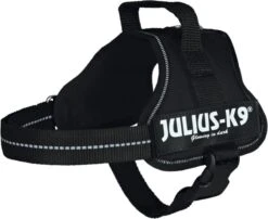 Julius K9 K9®Powertuig, S - Mini, Zwart 25 Julius K9 K9®Powertuig, S - Mini, Zwart -Hondenartikelen Serie Winkel 1200x981 1