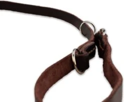 Multifunctionele Hondenriem - 220cm - Bruin - Leren Hondenriem - 100% Volnerfleer - Hondenriem Leer - Leiband Hond -Hondenartikelen Serie Winkel 1200x993 3