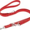 Happilax Dog Leash 2m Adjustable - Red / Reflective - 3-Step Adjustable Leash - Double Leash, Tug Leash - Geschikt Als Hondenriem Voor Grote Honden Of Als Sleepriem Voor Kleine Honden. -Hondenartikelen Serie Winkel 1200x995 18