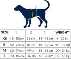 AnnyX Hondentuig - FUN - LIMTED EDITION - Speurtuig - Camouflage - Legergroen - Maat S - Borstomvang 52-64cm - Gewicht Hond 9 -19 Kg - My K9 -Hondenartikelen Serie Winkel 1200x995 19