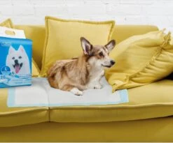 Nobleza 48LXE - Puppy Training Pads - 60 X 90 Cm - Zindelijkheidstraining - 120 Stuks -Hondenartikelen Serie Winkel 1200x997 4