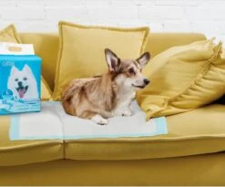 Nobleza 48LXB - Puppy Training Pads - 60 X 90 Cm - Zindelijkheidstraining - 100 Stuks -Hondenartikelen Serie Winkel 1200x997 5