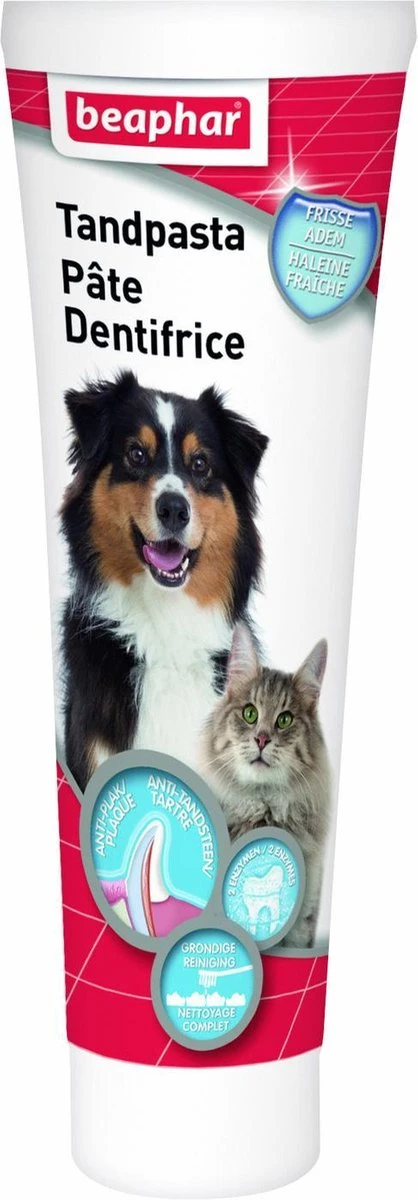 Beaphar Tandpasta - 100 Gr 8 Beaphar Tandpasta - 100 Gr - Afbeelding 6